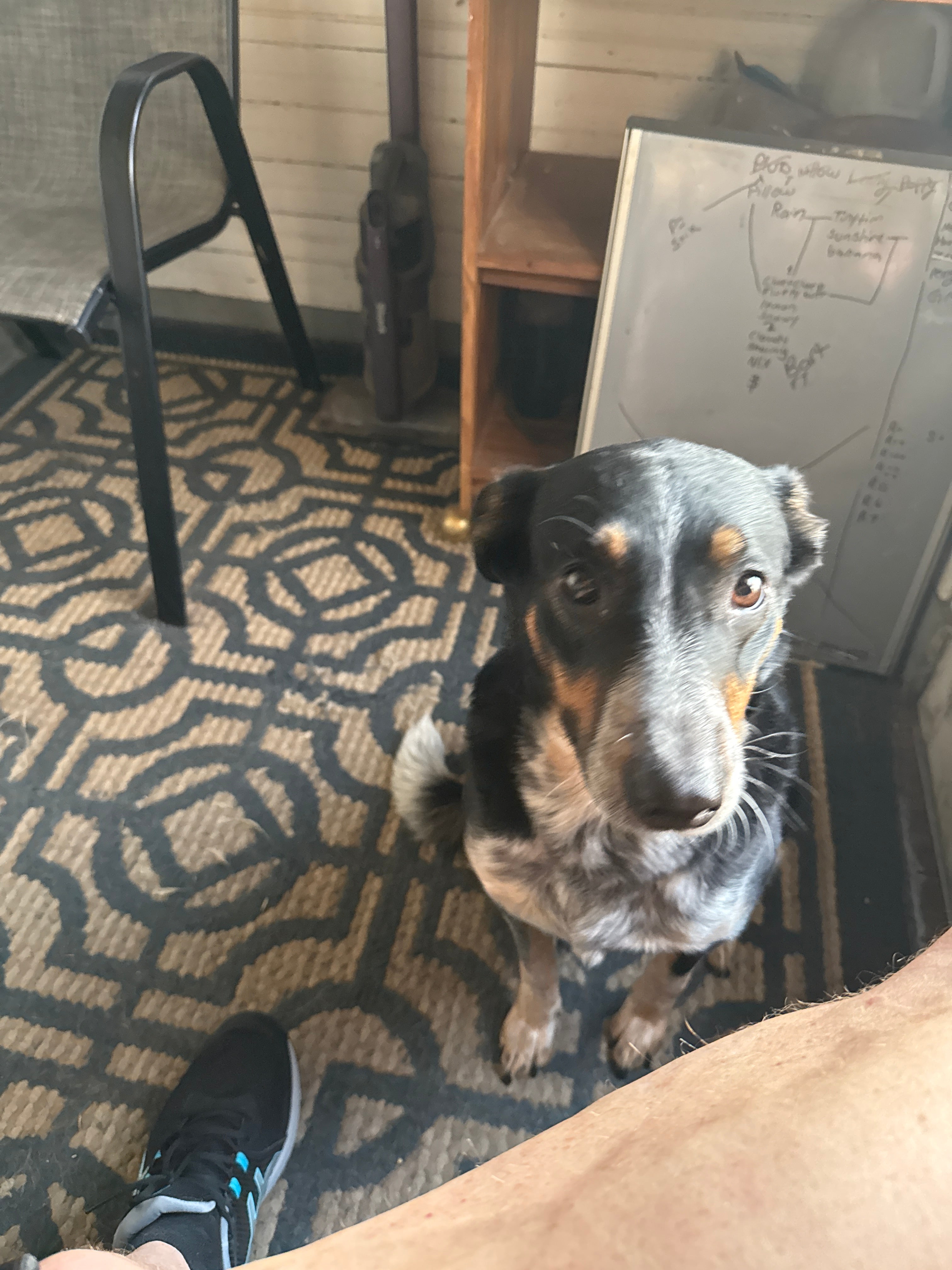 Custom piece per minute