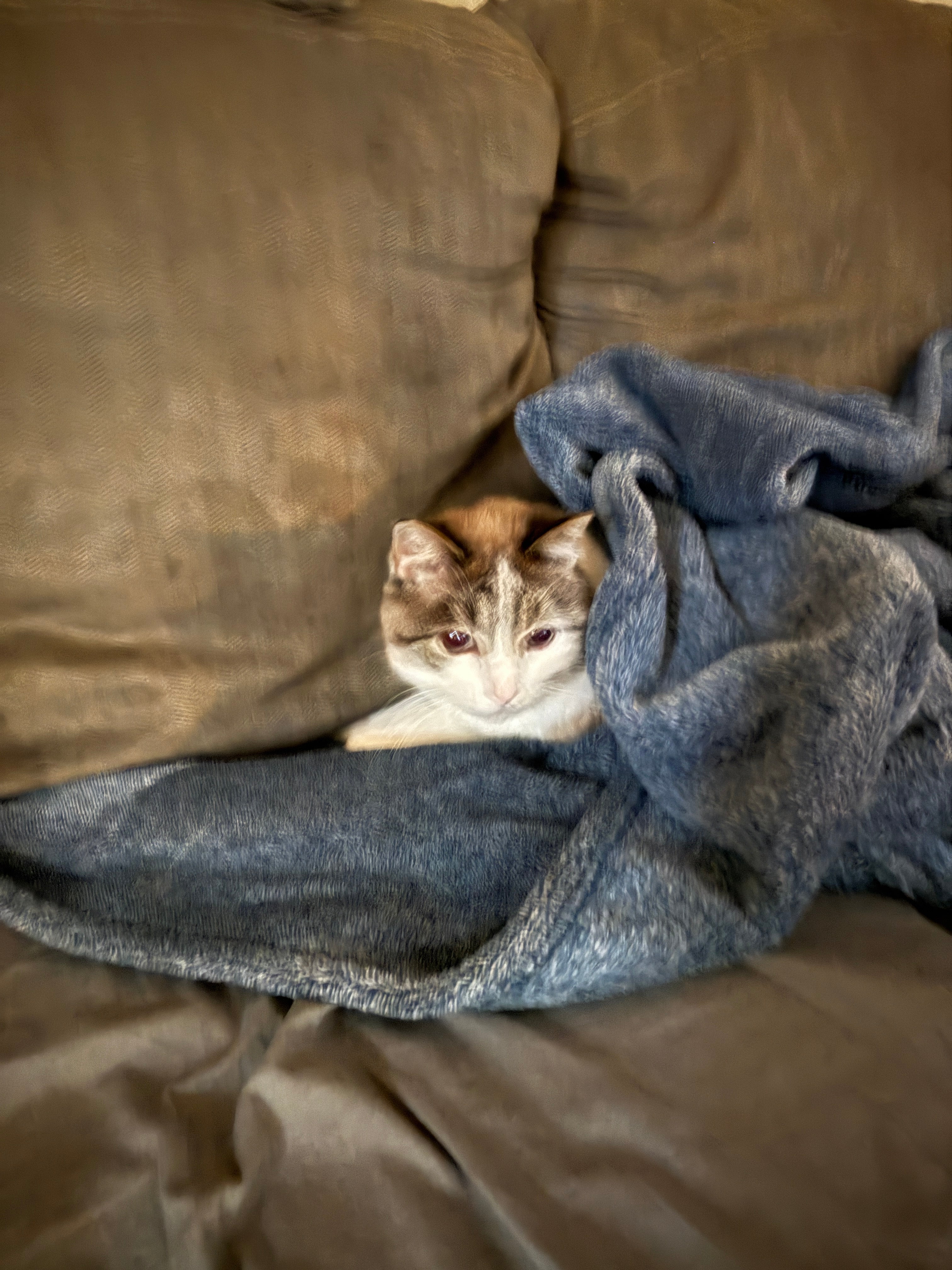 Custom piece per minute